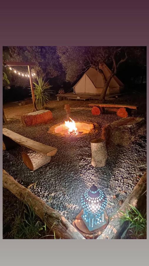 Golden Camp Hotel Falerna Bagian luar foto