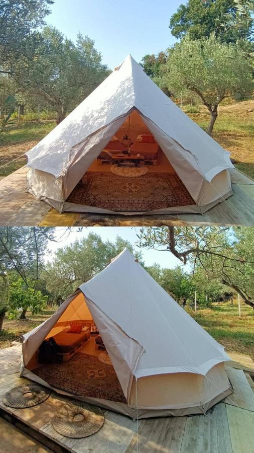 Golden Camp Hotel Falerna Bagian luar foto