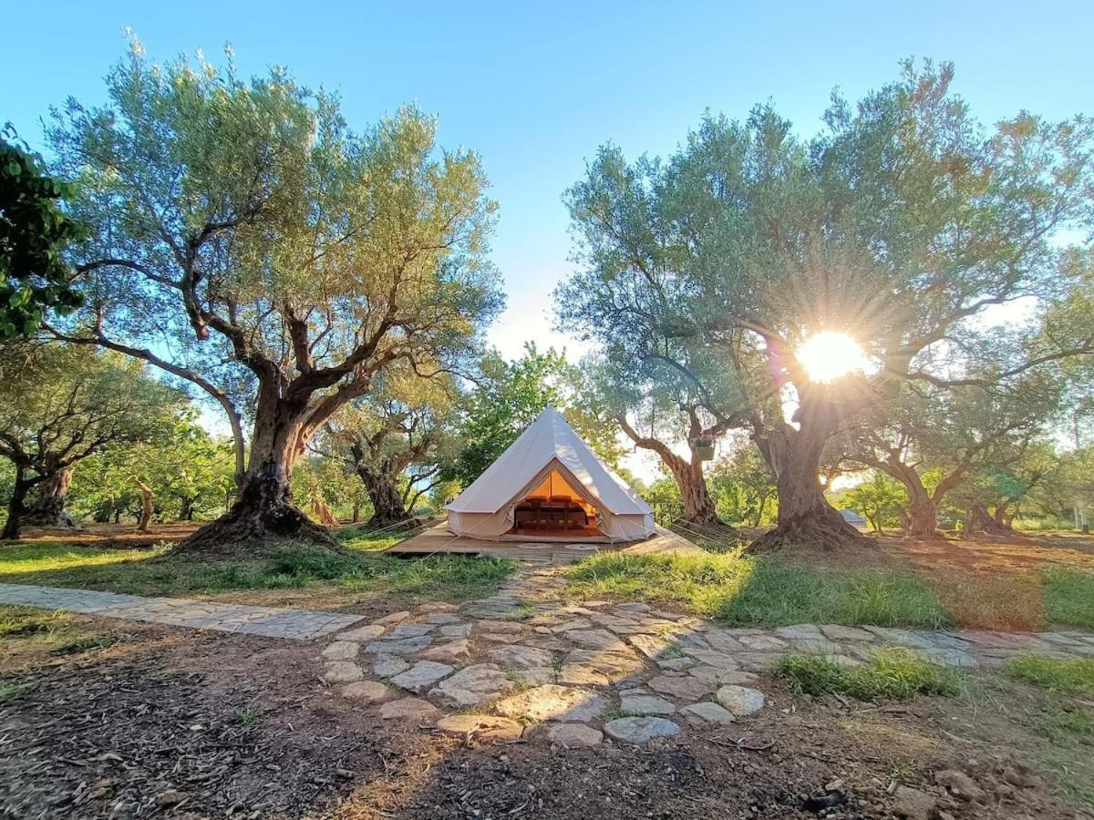 Golden Camp Hotel Falerna Bagian luar foto
