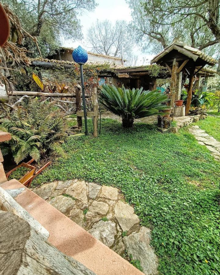 Golden Camp Hotel Falerna Bagian luar foto