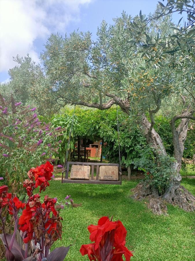 Golden Camp Hotel Falerna Bagian luar foto