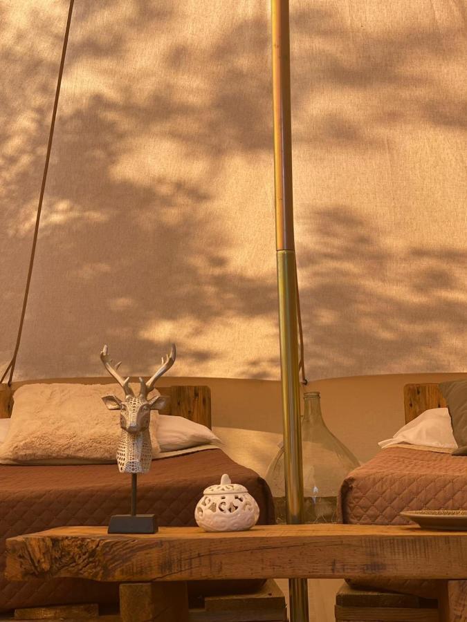 Golden Camp Hotel Falerna Ruang foto